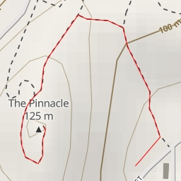 thumbnail for The Pinnacle