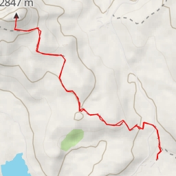 thumbnail for The Nipple