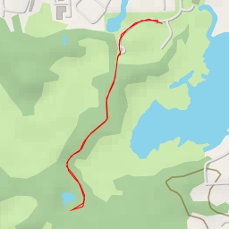 thumbnail for Loki's Loop - Loki's Loop