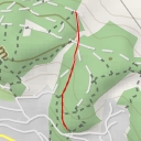 thumbnail for Wildsaustein