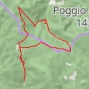 thumbnail for Forconali