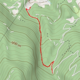 thumbnail for Strada per Malga Campo - Strada per Malga Campo