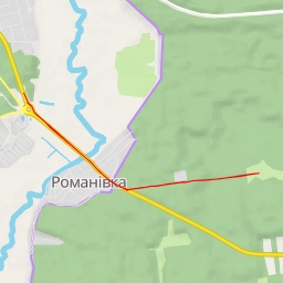 thumbnail for Молодий гарний сосновий ліс