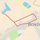 thumbnail for singletrack