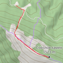 thumbnail for Соколов камен