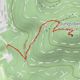 thumbnail for Jüngstberg