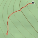 thumbnail for Borowina