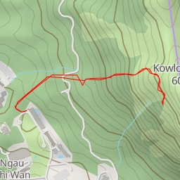 thumbnail for 巨鯨石