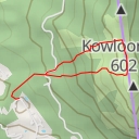 thumbnail for 肥豬石