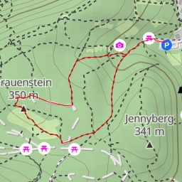 thumbnail for Frauenstein