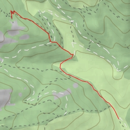 thumbnail for Los Palacios