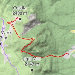 thumbnail for Coștila