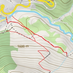 thumbnail for Berg-Sauerampfer - Mariahilfweg