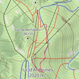 thumbnail for Les Myrtilles