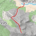 thumbnail for Cervunal