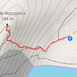 thumbnail for Lion de Roccapina