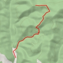 thumbnail for Czeremcha Zachodnia