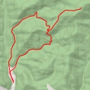 thumbnail for Czeremcha