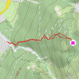 thumbnail for Wildeben