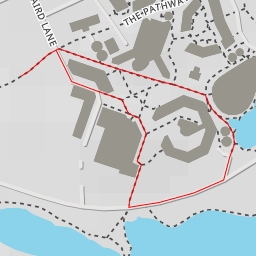 thumbnail for Heslington East Lake