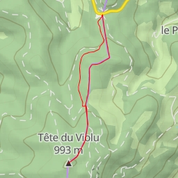 thumbnail for Tête du Violu