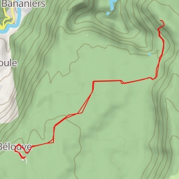 thumbnail for Sentier de la Forêt des Lianes