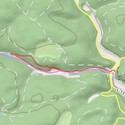 thumbnail for Großer Wald - Großer Wald