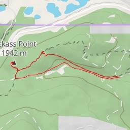 thumbnail for Jackass Point