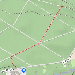 thumbnail for Boslaan - Boslaan