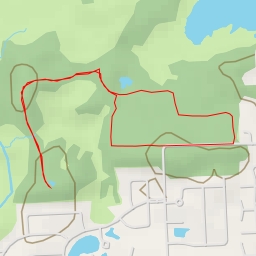 thumbnail for Swamp Loop - Swamp Loop