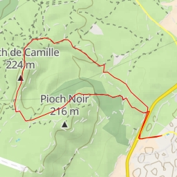 thumbnail for Pioch de Camille