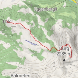 thumbnail for Burgseelein