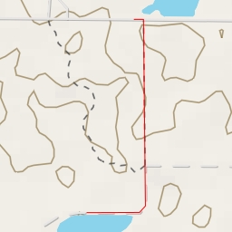 thumbnail for Wildlife Viewing