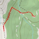 thumbnail for Ciprés de Lawson de la Cebedilla - M-637