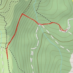 thumbnail for Ciprés de Lawson de la Cebedilla - M-637