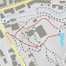 thumbnail for Botanischer Garten der Universität Zürich - Burgweg - Zürich