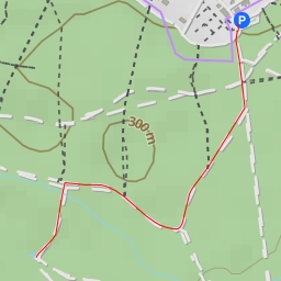 thumbnail for Buckenhofer Forstweg - Buckenhofer Forst