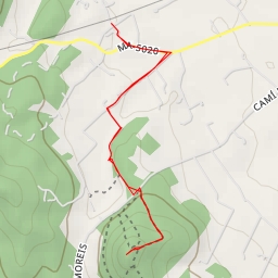 thumbnail for puig d'en Femella