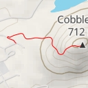 thumbnail for Cobble Hill