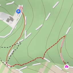 thumbnail for Am Bischof