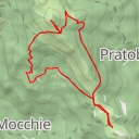 thumbnail for Truc Castelletto