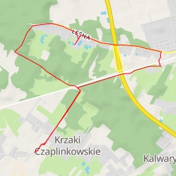 thumbnail for Leśna