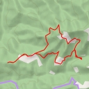 thumbnail for Salt del Molinot