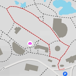 thumbnail for Bioparco - Via Ulisse Aldrovandi - Roma