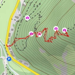 thumbnail for Elke Bankerl/Fünfte Aussicht