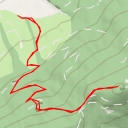 thumbnail for Wolfskopf