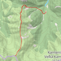 thumbnail for Sivá veža / Siwy Zwornik