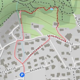 thumbnail for Hornweg