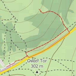 thumbnail for Walnut Whip