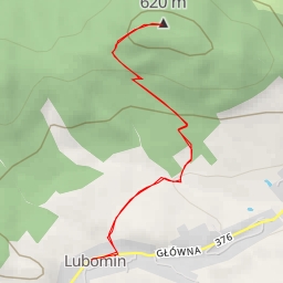 thumbnail for Węgielnik